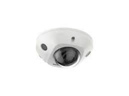 2 MP Acusense Built-in Mic Fixed Mini Dome Network Camera
